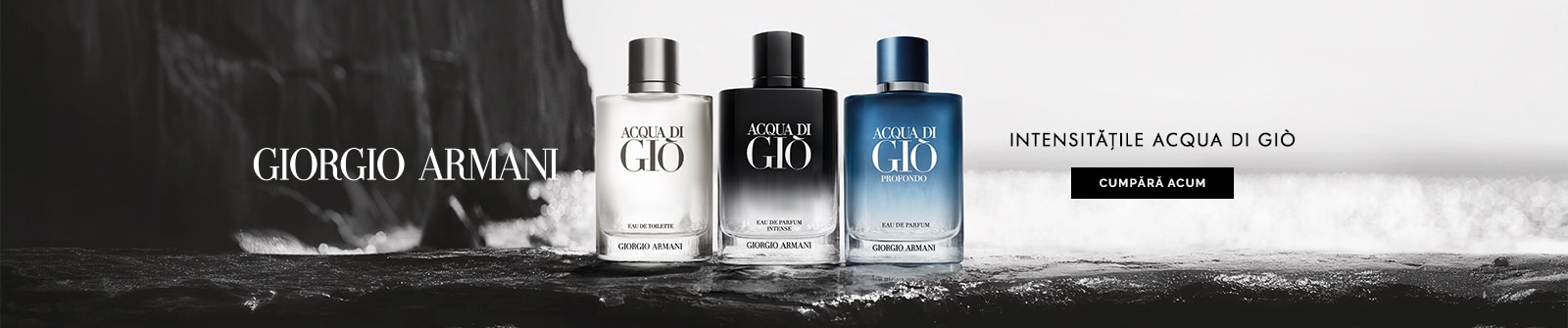 ARM447 ADGH MRN LP Desktop v1.jpg